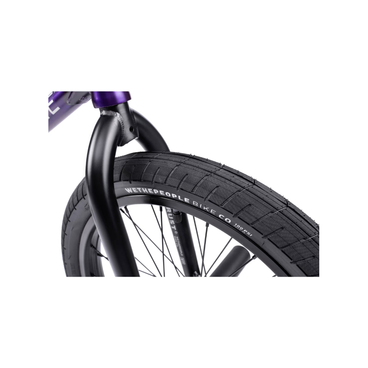 Wethepeople Trust CS 20" BMX