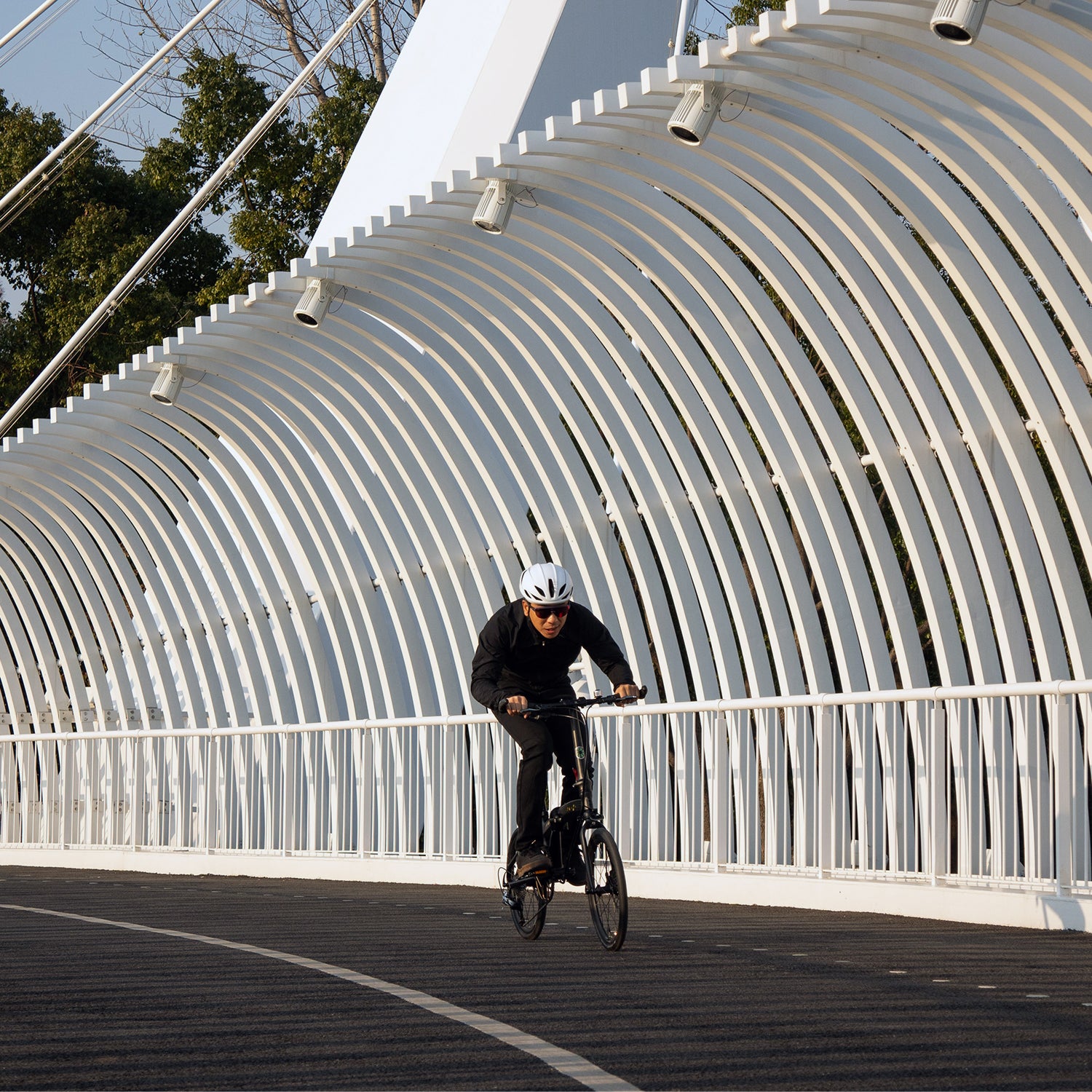 Dahon MU PRO 20" Folding Bike