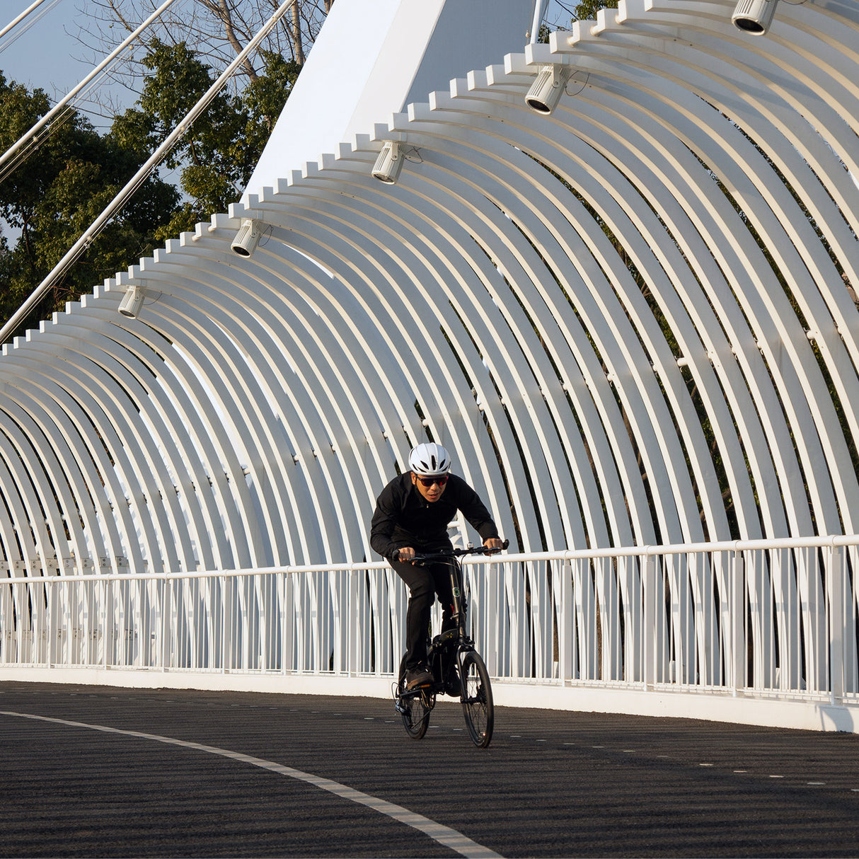 Dahon MU PRO 20" Folding Bike