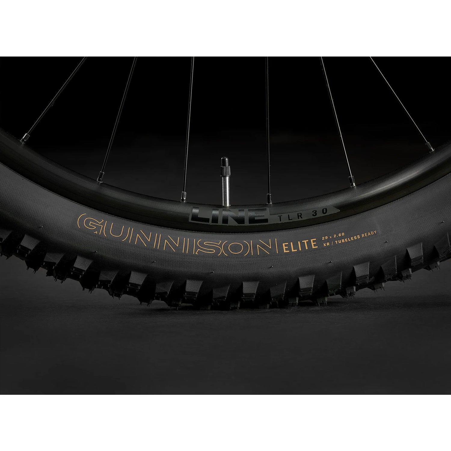 Trek Roscoe 6 MTB 2024