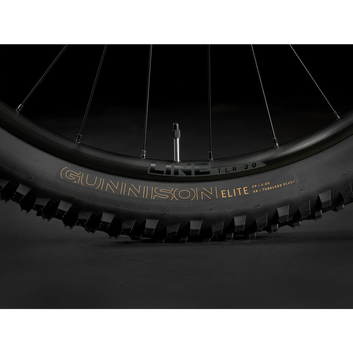 Trek Roscoe 6 MTB 2024