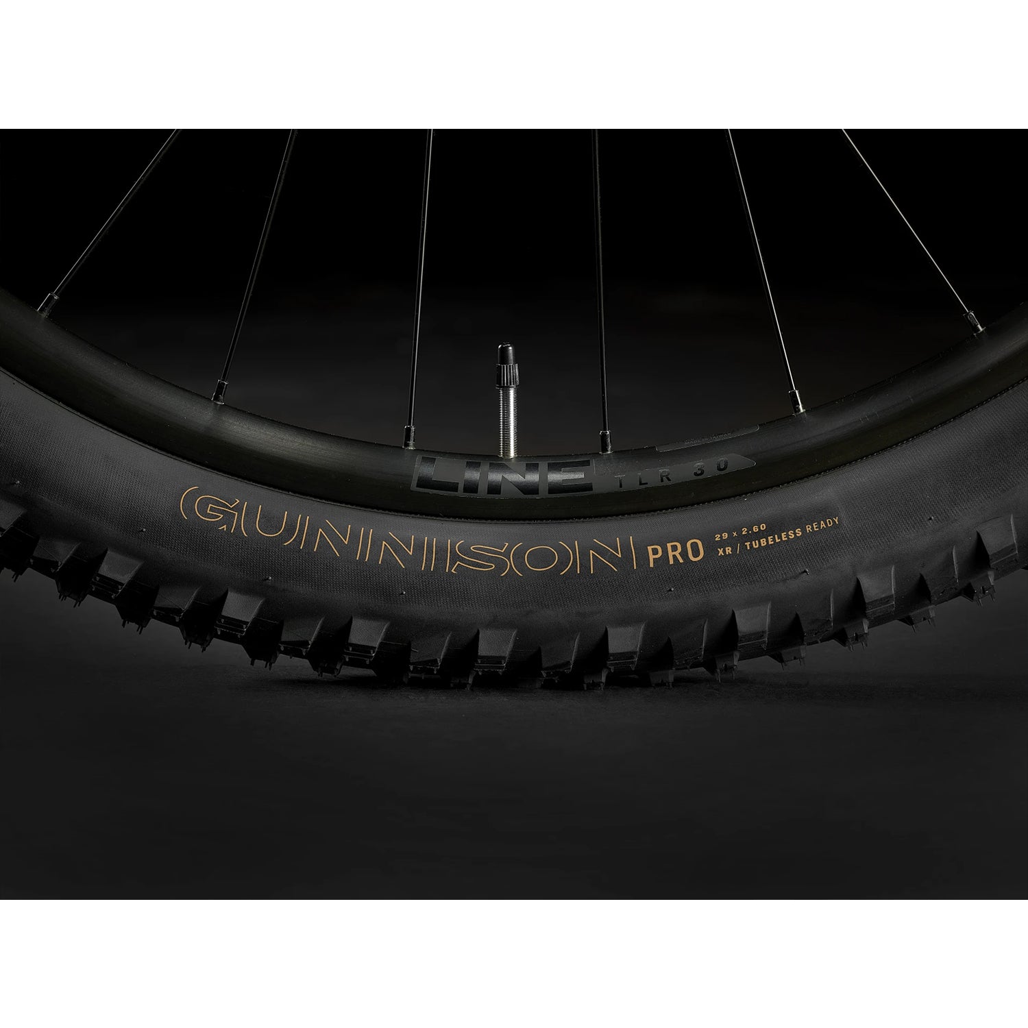 Trek Roscoe 7 MTB 2024
