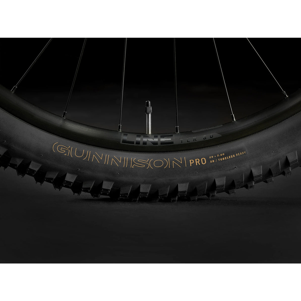 Trek Roscoe 7 MTB 2024