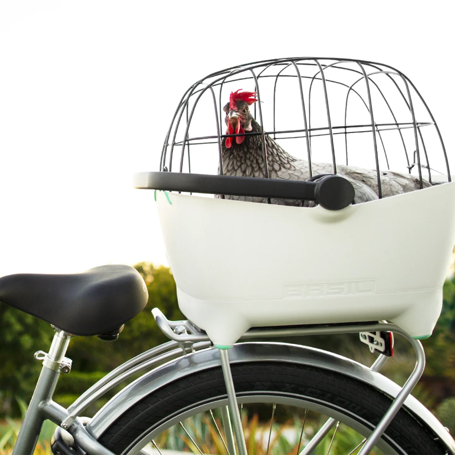 Electra Basil Pet Carrier