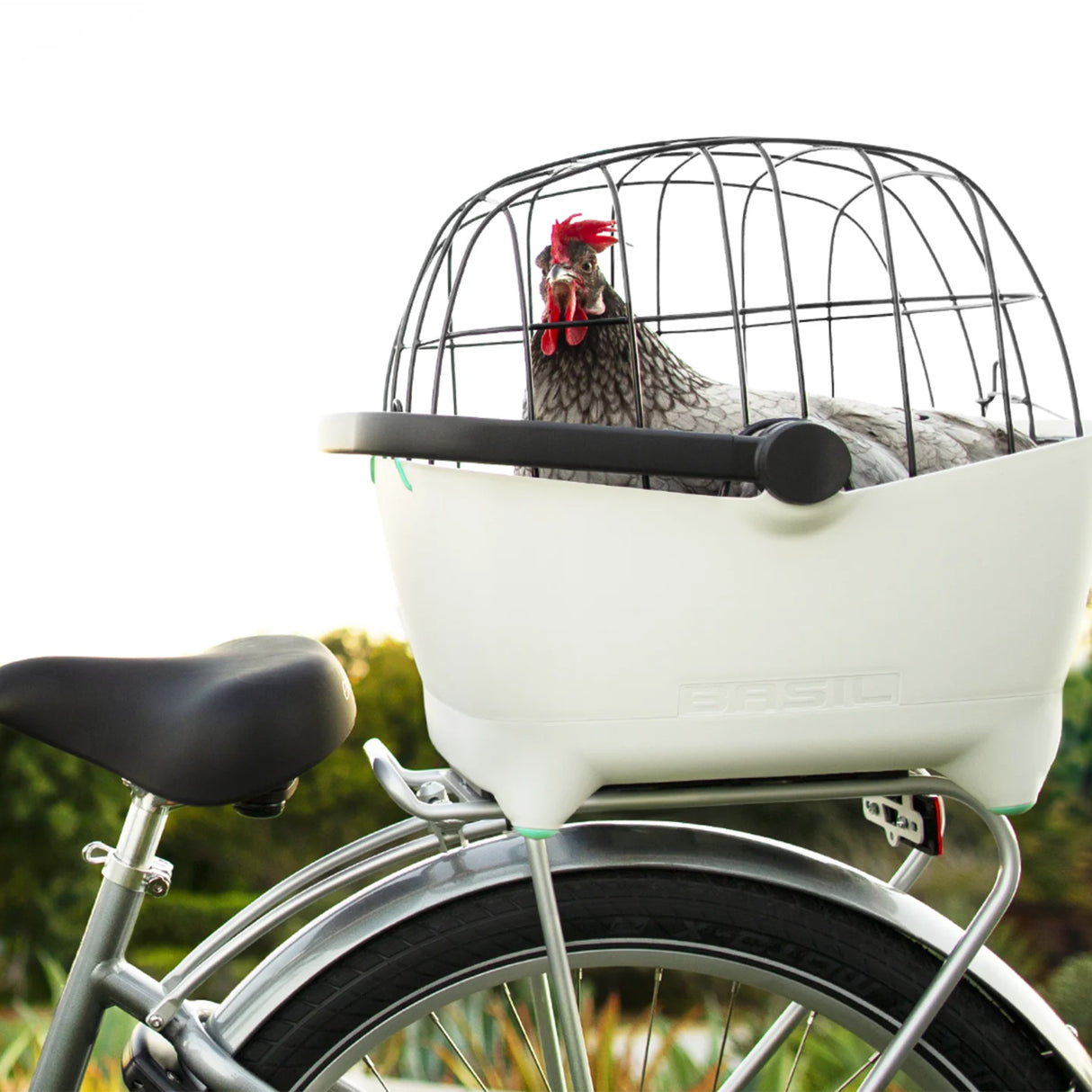Electra Basil Pet Carrier