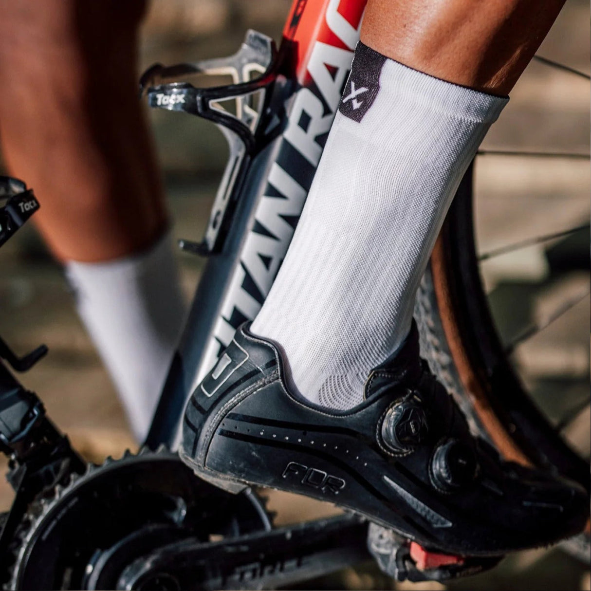 SOX Slight Crew Socks