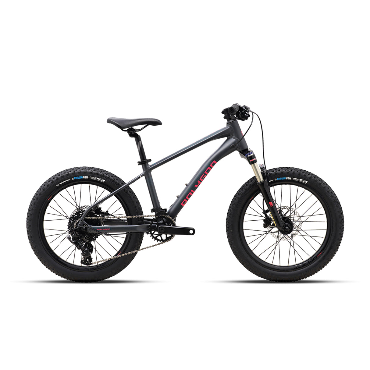 Polygon Xtrada 20 Kids MTB