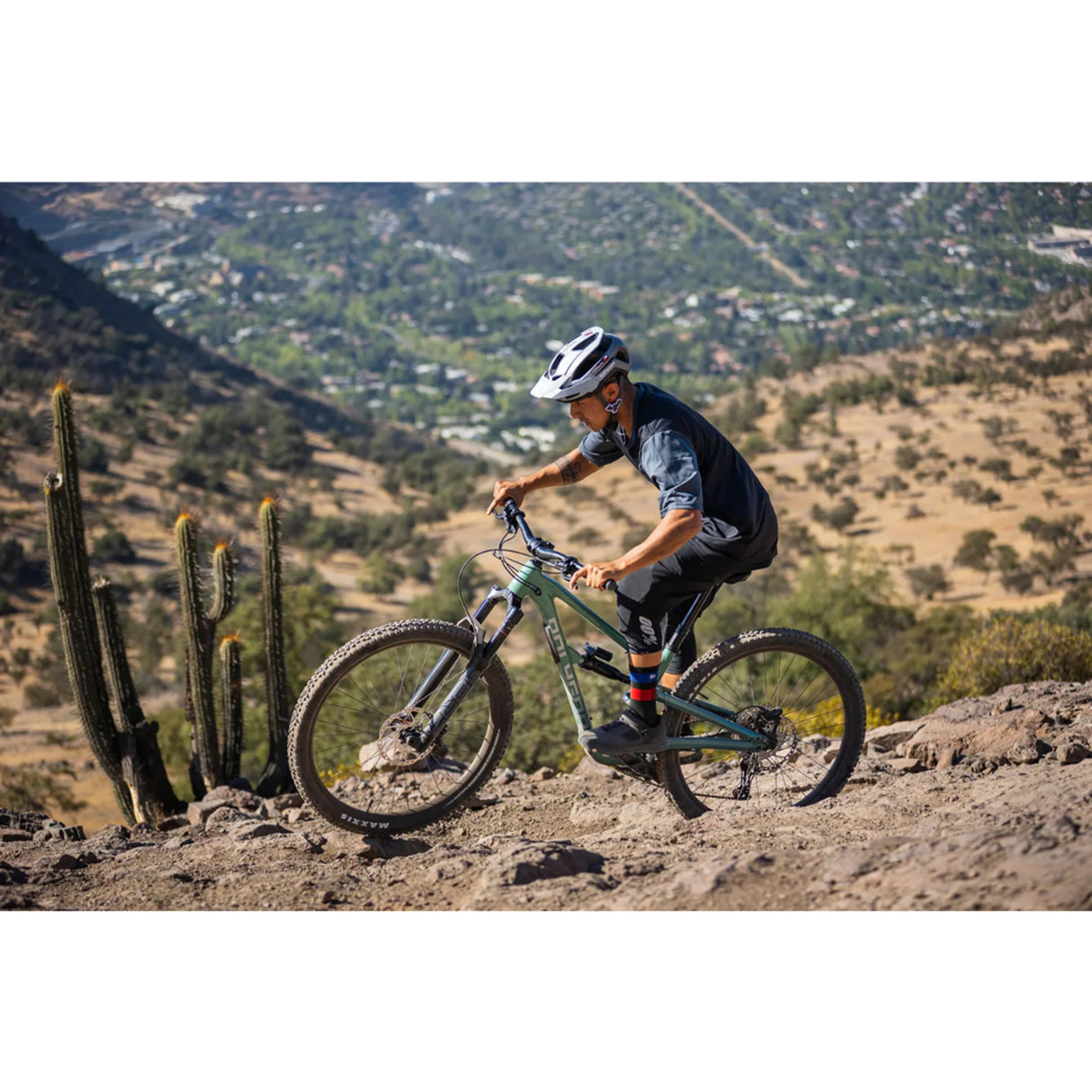 Polygon Collosus N7 Full Suspension 29" MTB 2026