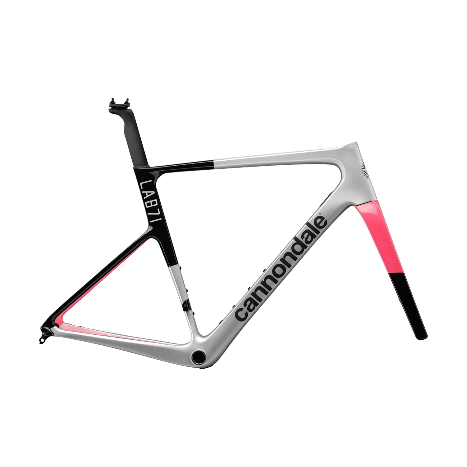 Cannondale SuperSix EVO LAB71 Frame
