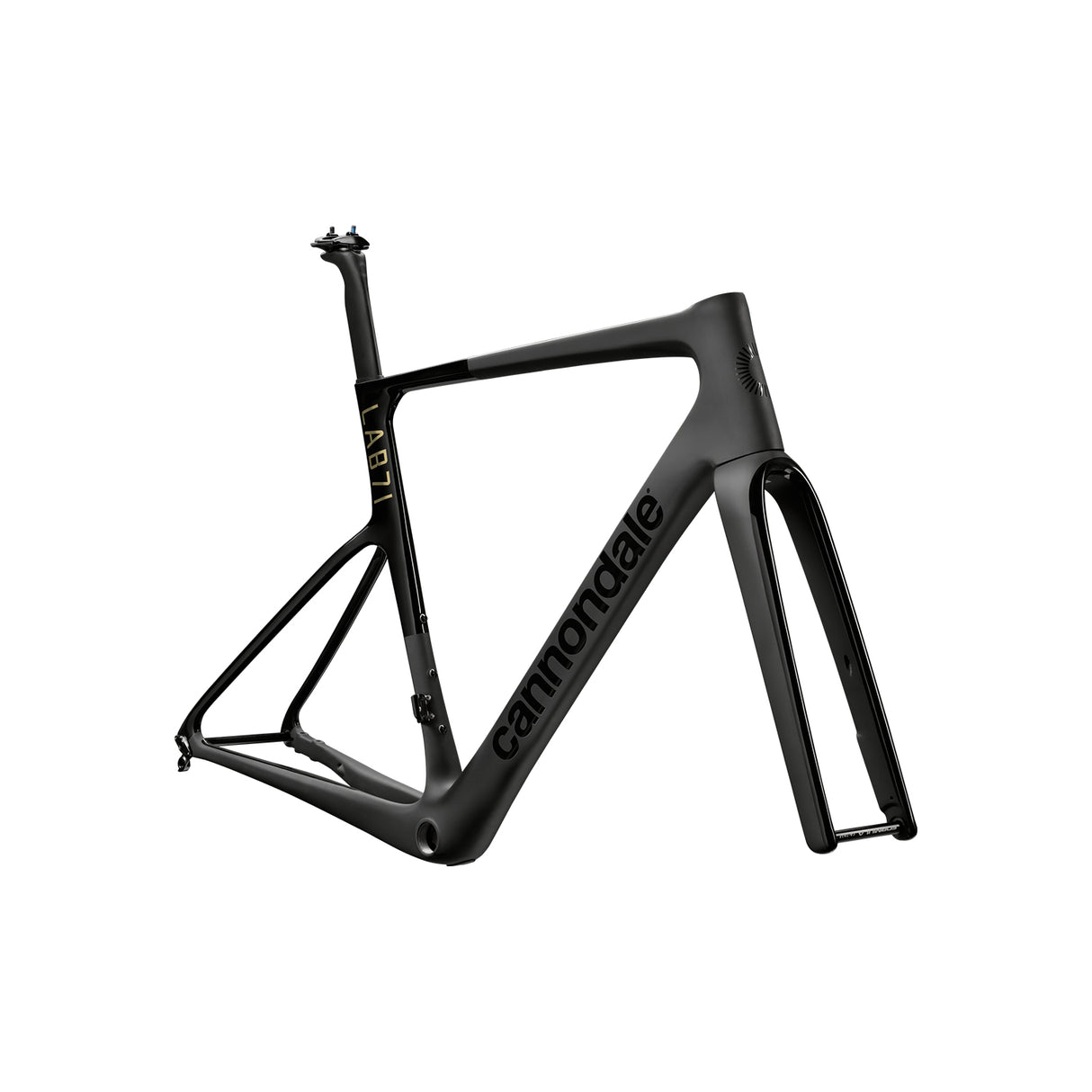 Cannondale SuperSix EVO LAB71 Frame