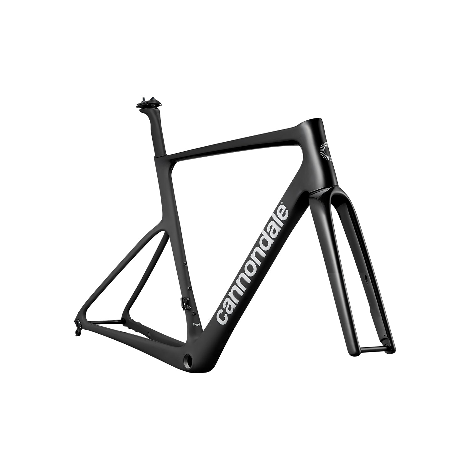 Cannondale SuperSix EVO HI-MOD Frame