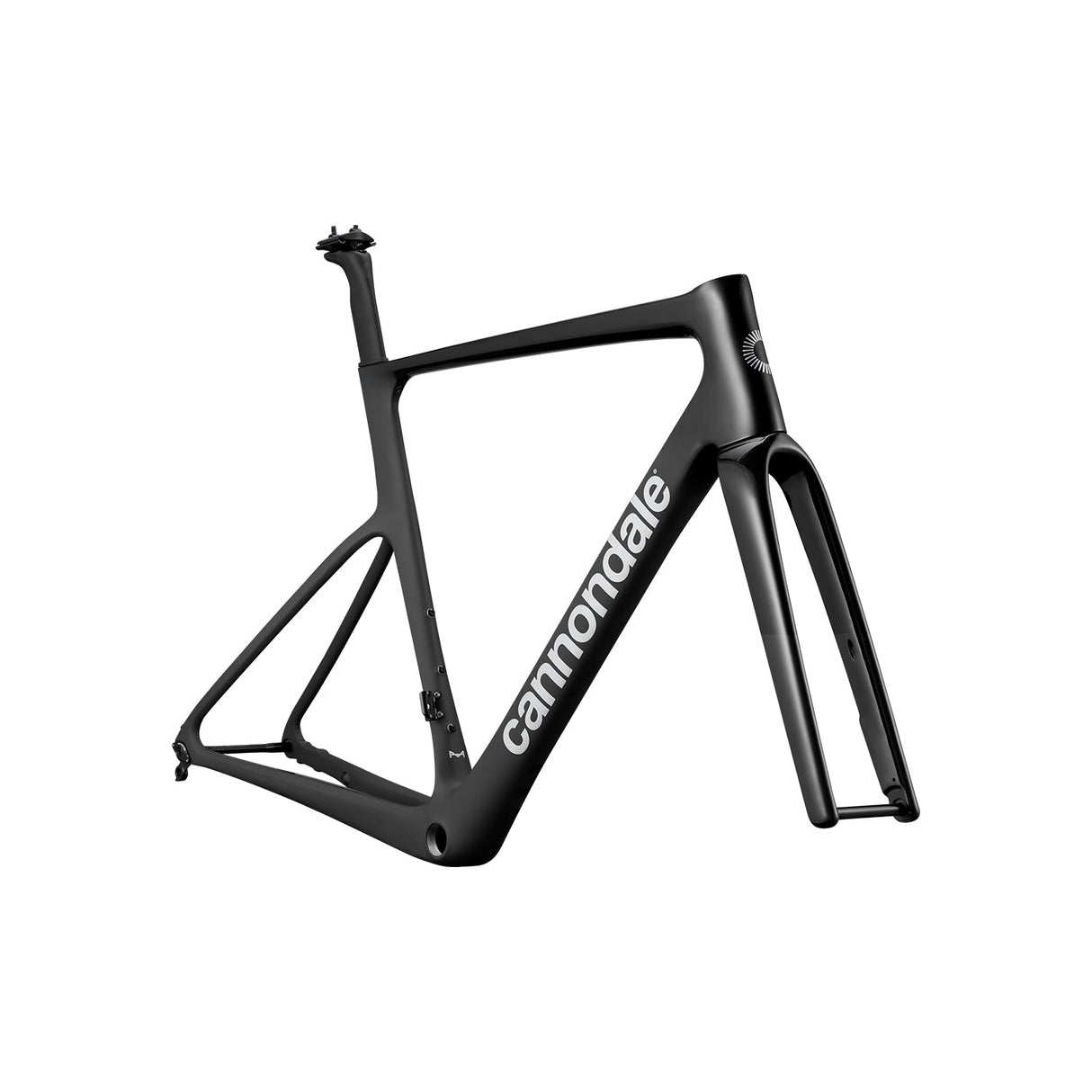 Cannondale SuperSix EVO HI-MOD Frame