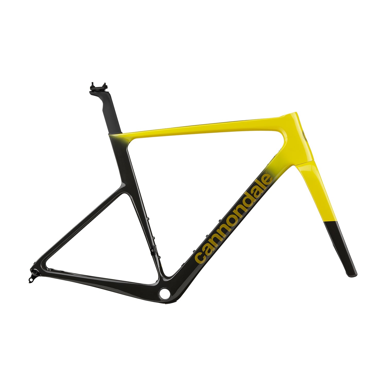 Cannondale SuperSix EVO HI-MOD Frame
