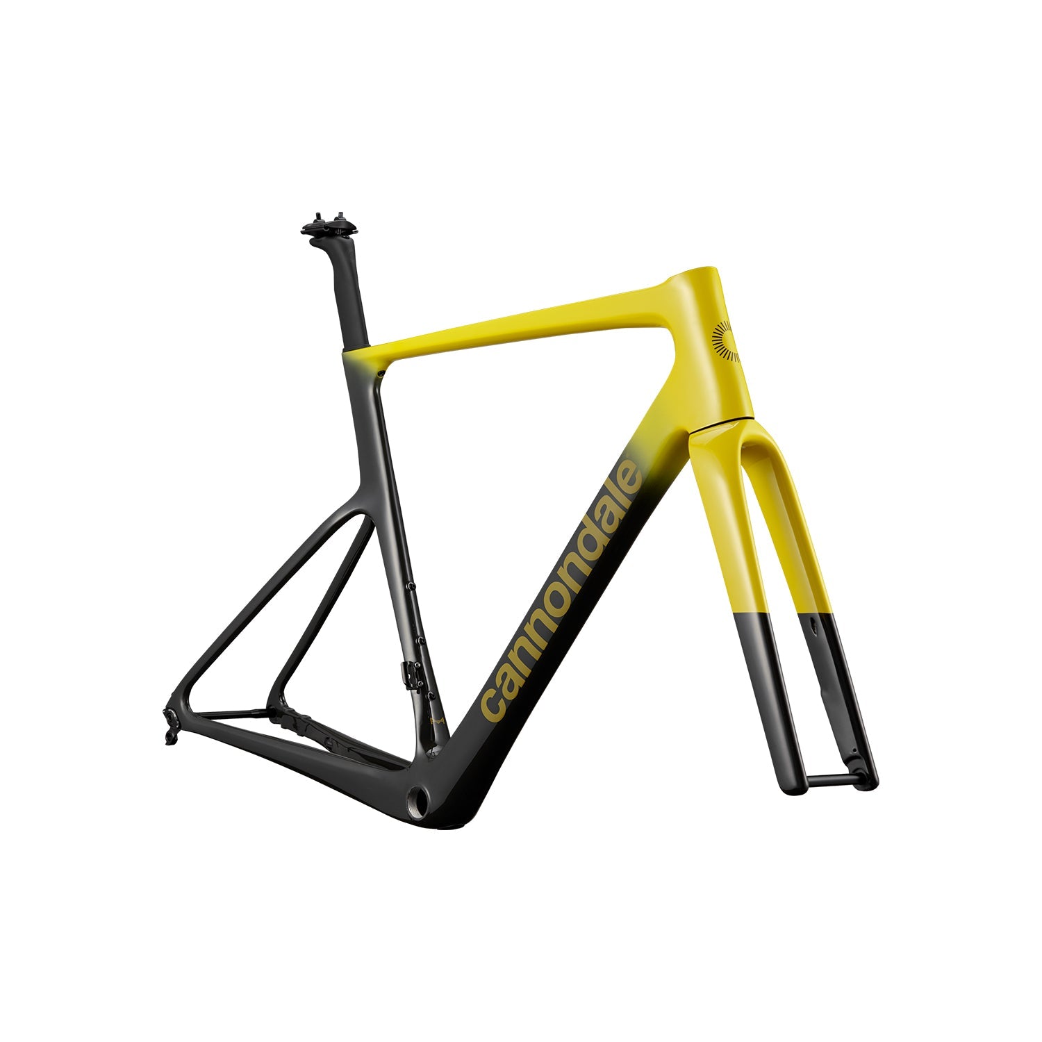Cannondale SuperSix EVO HI-MOD Frame