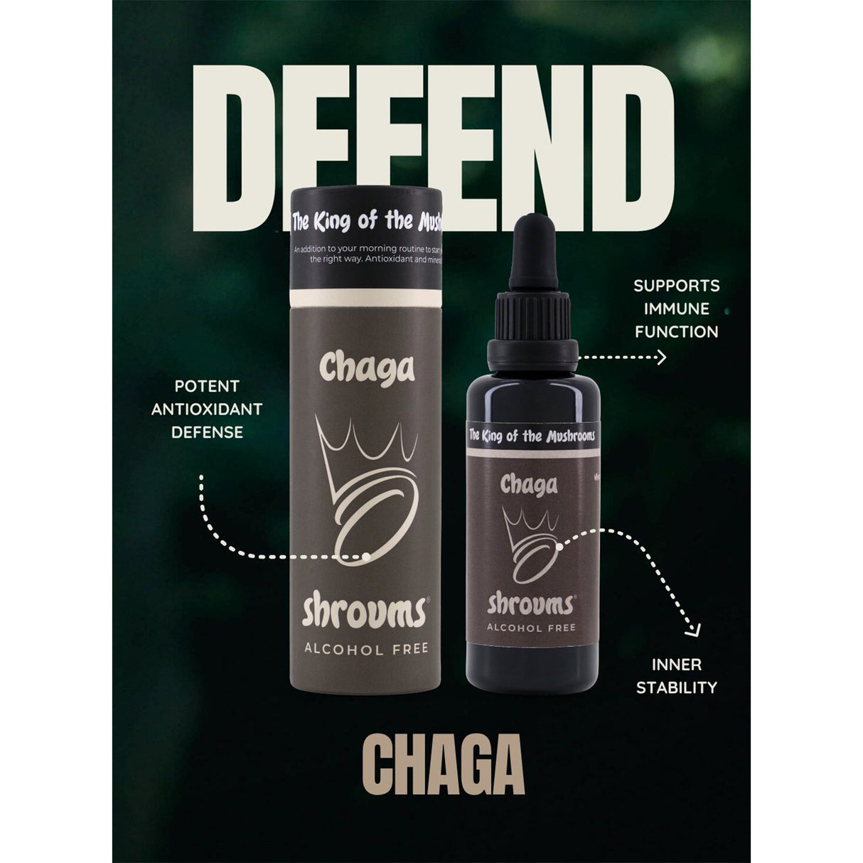 Shroums Chaga Mushroom Extract – Alcohol Free 50ml