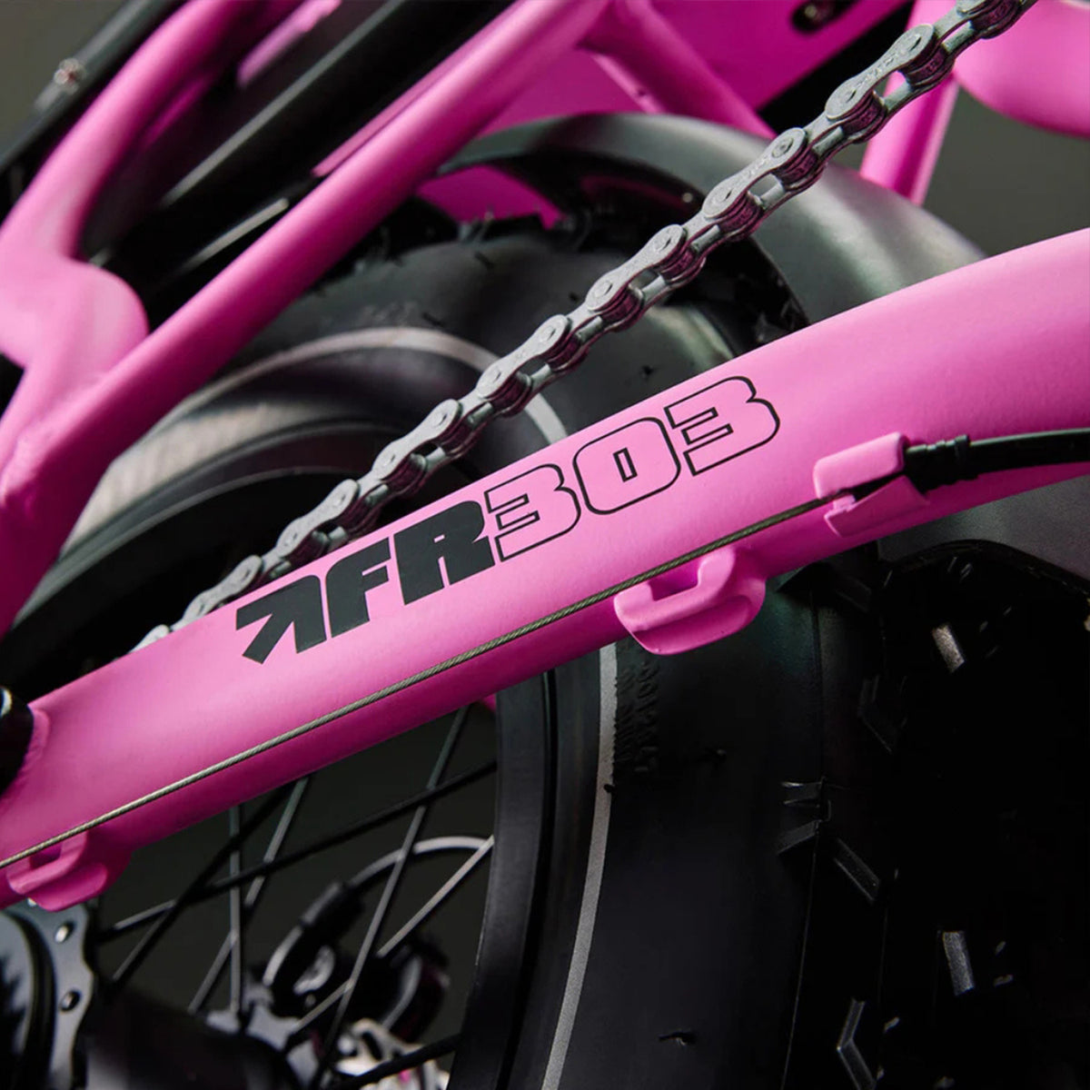 Flight Risk FR303 Electric Bike