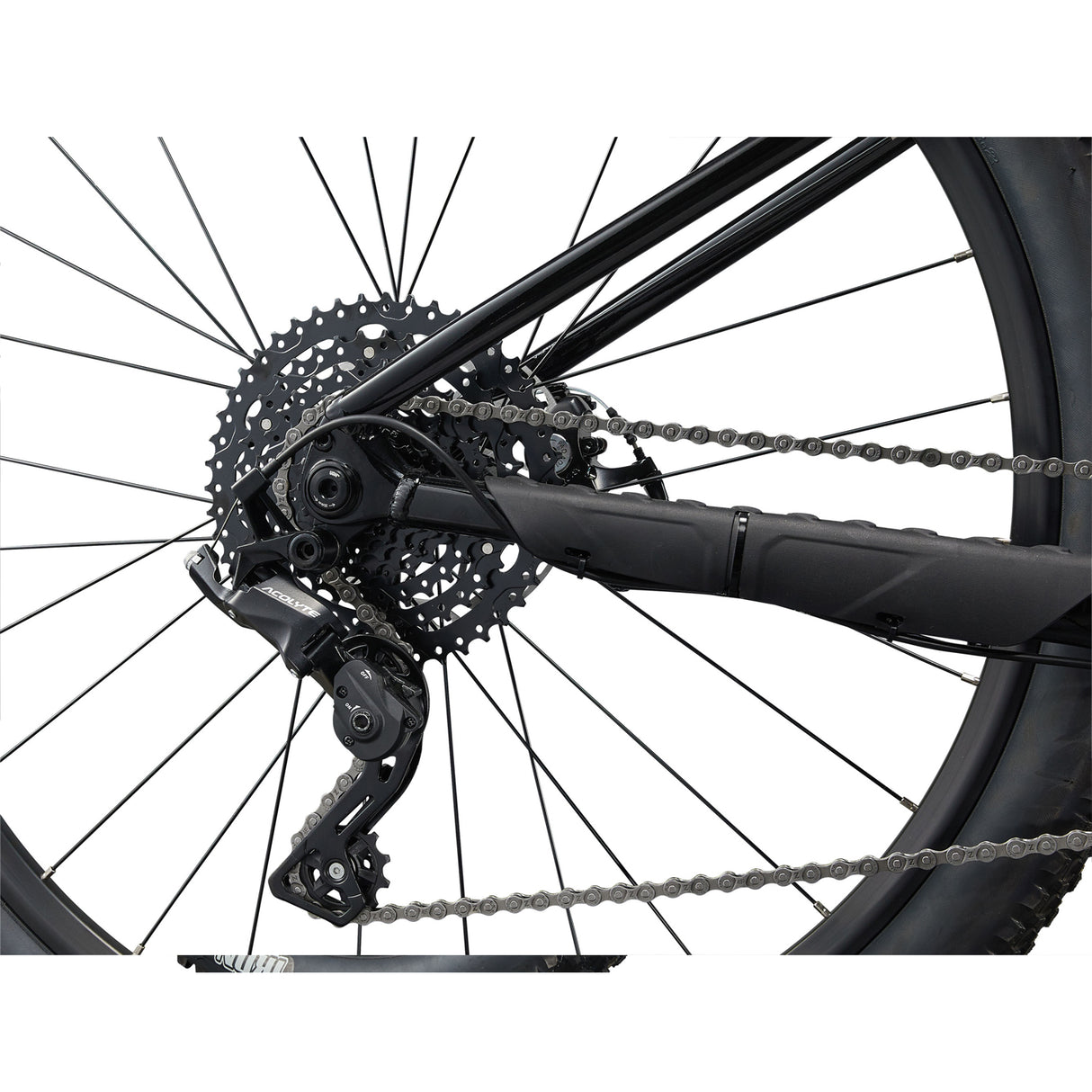 Liv Tempt 4 29" MTB