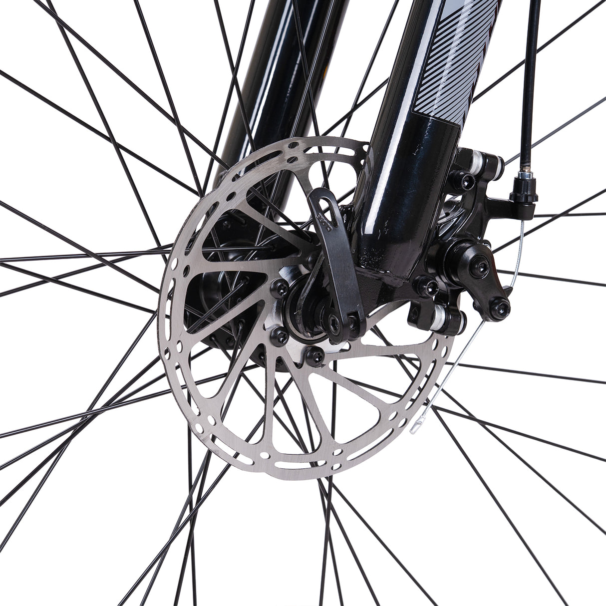 Spartan 29" Viper Hardtail MTB