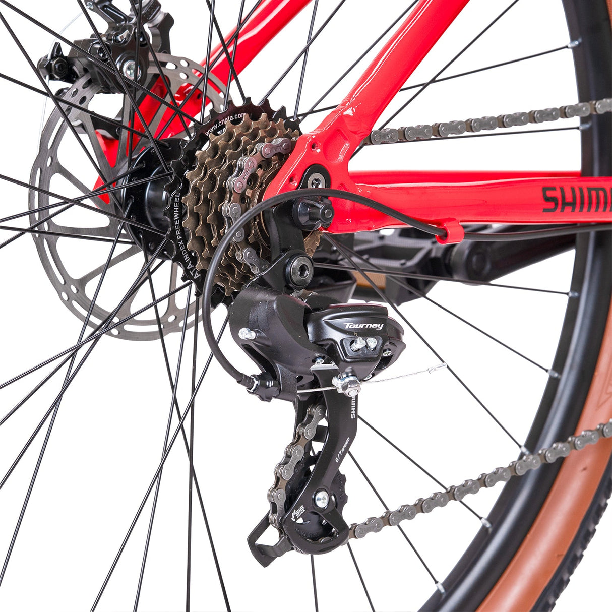 Spartan 29" Viper Hardtail MTB