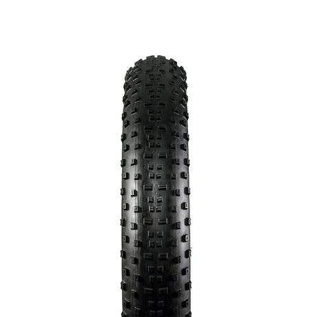 Bontrager Barbegazi Fat Bike Tyre