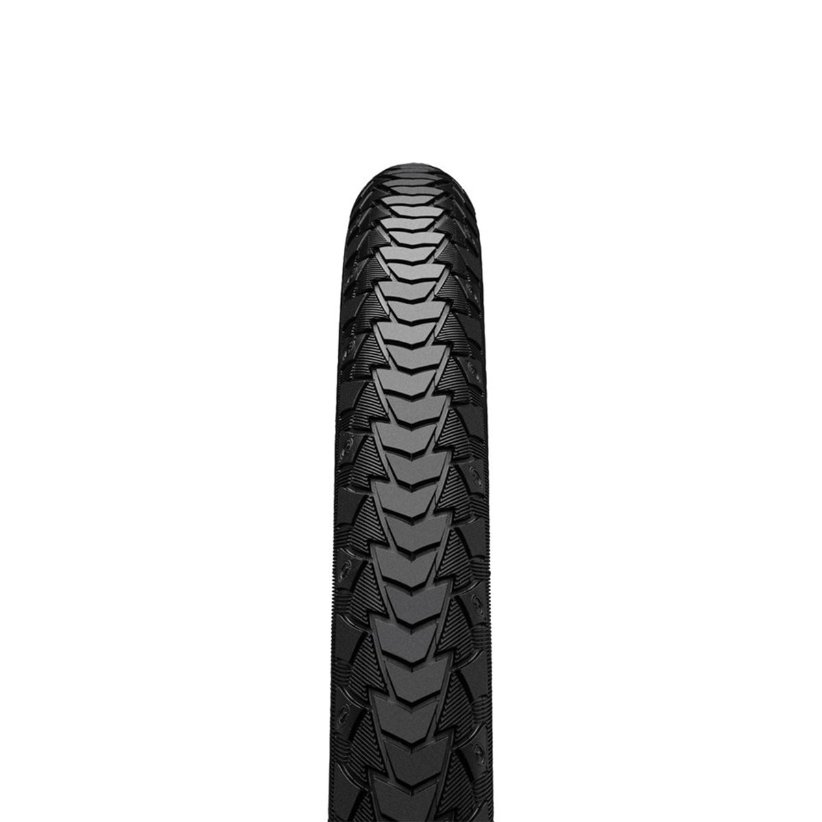 Continental Contact Plus
