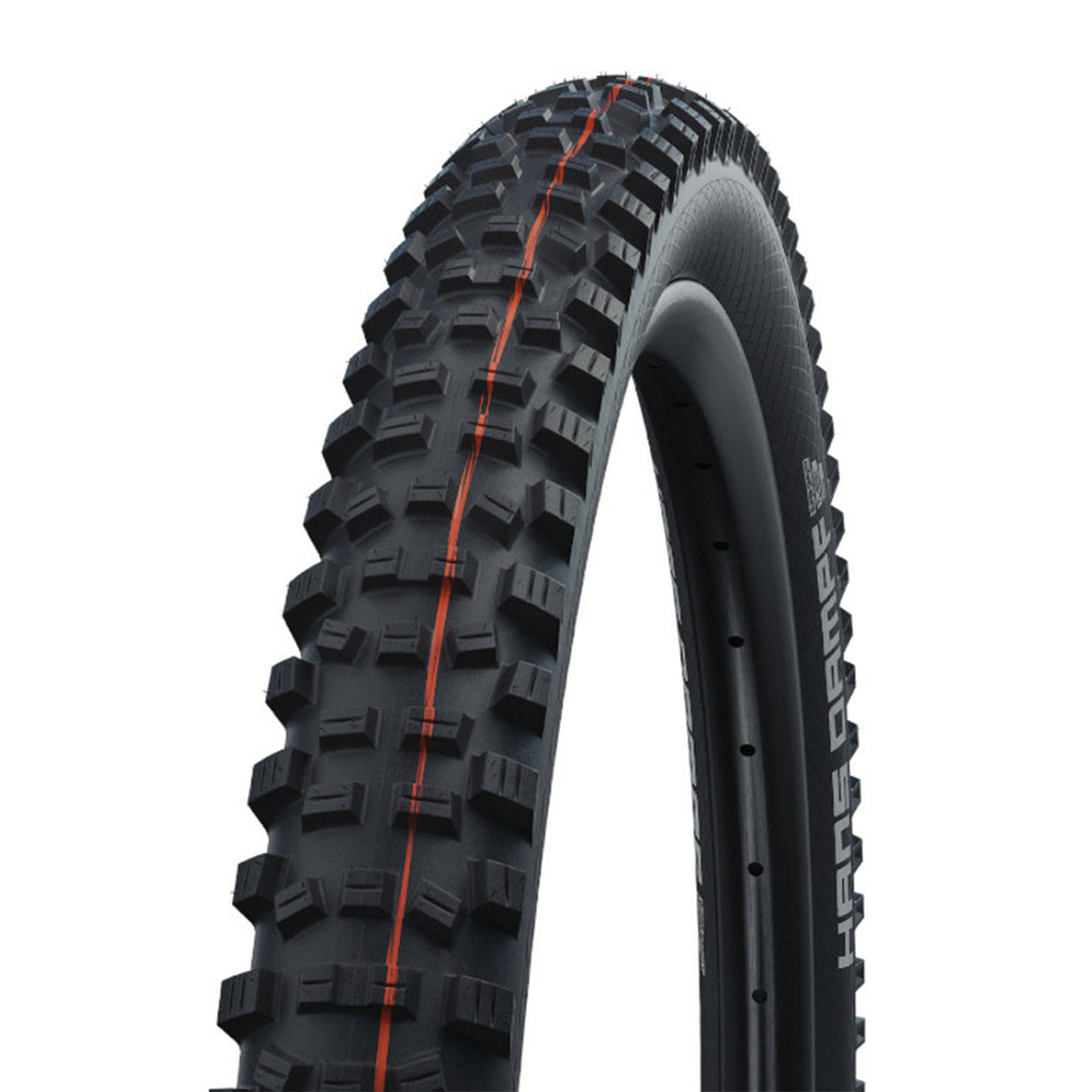 Schwalbe Hans Dampf Evo Super Trail Easy Foldable