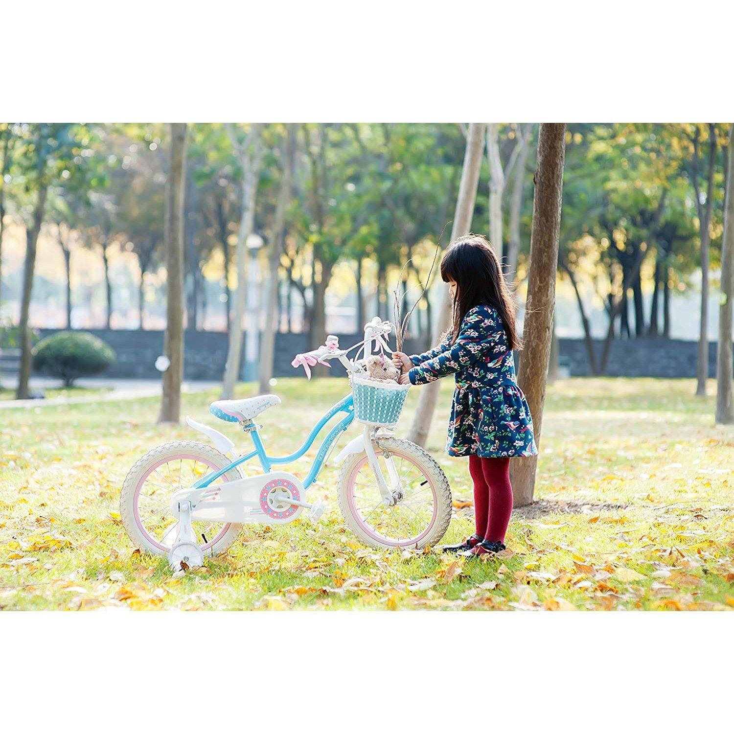 RoyalBaby 14" Stargirl Bicycle