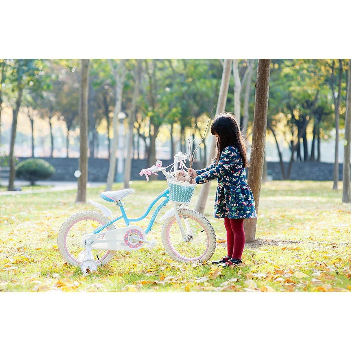 RoyalBaby 14" Stargirl Bicycle