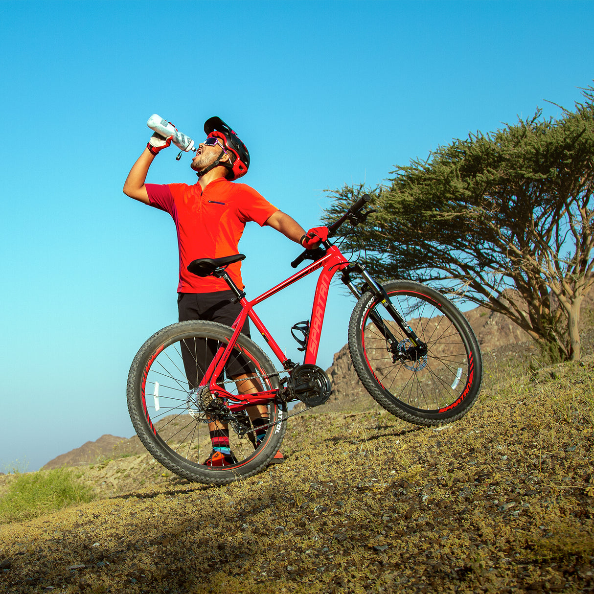 Spartan 27.5" A-Line MTB Alloy