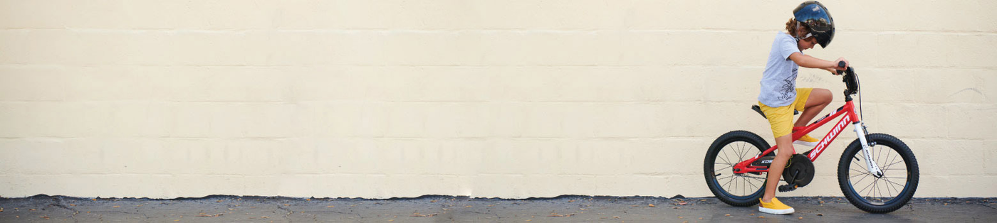 Schwinn - Cycle Souq 