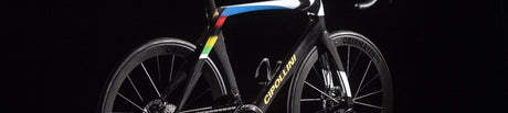 Cipollini