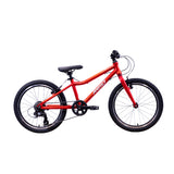 Reid Viper 20" Kids MTB