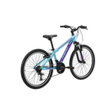 Reid Scout 24" Kids MTB