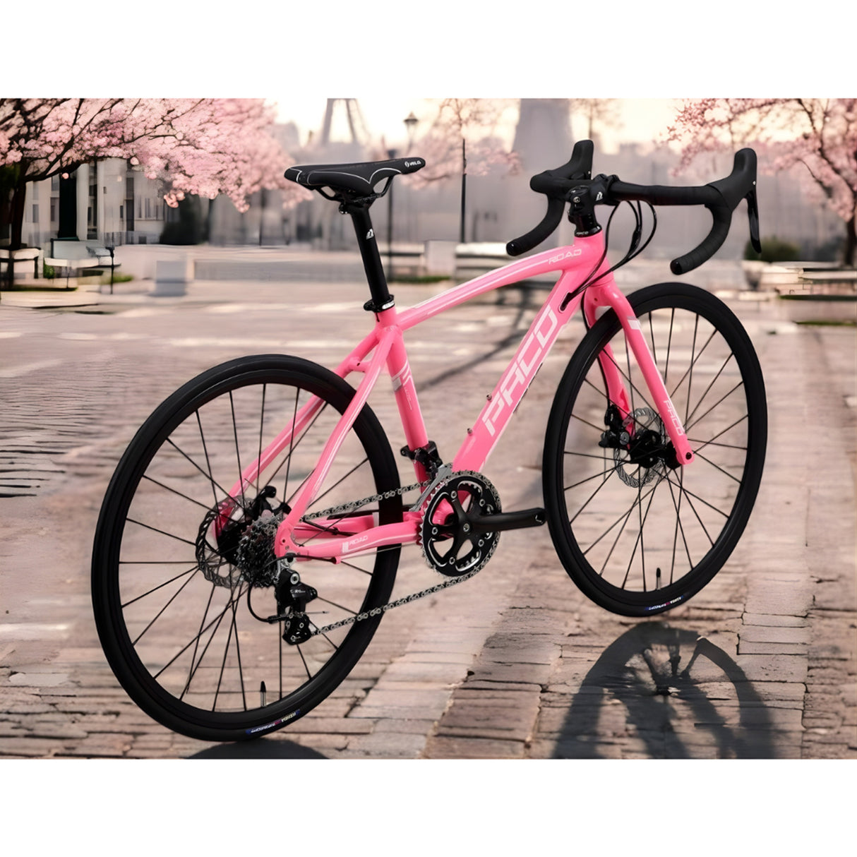 PACO Pro SLR 24" Kids Road Bike