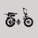 Flight Risk FR303 Electric Bike