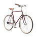 Pashley Men's Countryman Shimano Alfine 700c City Bike