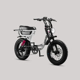 Flight Risk FR333 Electric Bike
