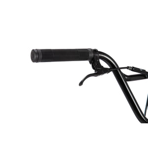 WeThePeople Sinus 20" BMX