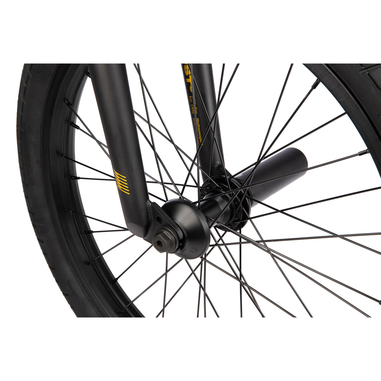 WeThePeople Trust CS 20" BMX