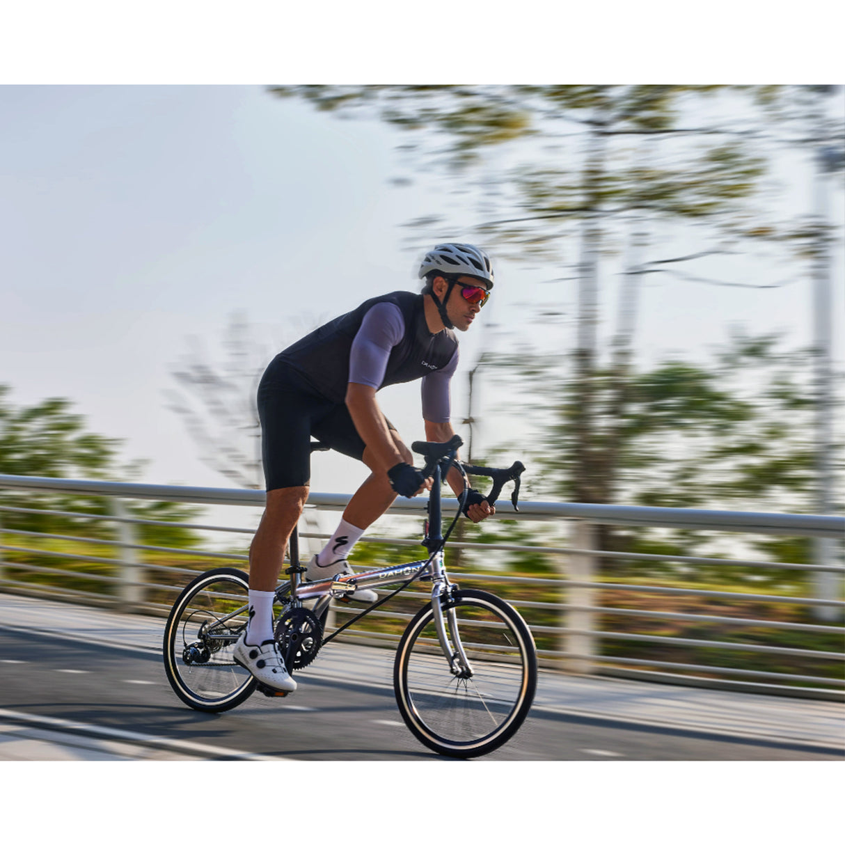 Dahon Archer P18 20" Folding Bike