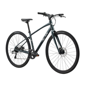 Liv Alight 4 Disc Hybrid Bike