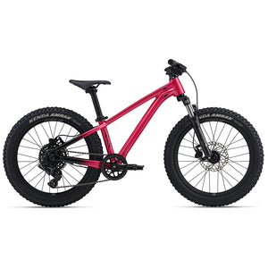 Liv Stp 20" Fs Kids MTB