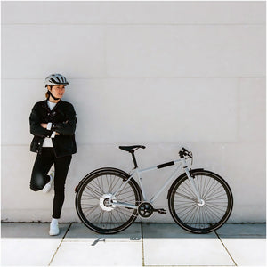 Fixie Inc. Backspin Zehus "All in One" E-Bike