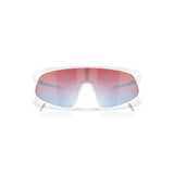 Oakley RSLV Prizm