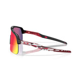 Oakley Sutro Lite Troy Lee Designs Series