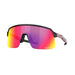 Oakley Sutro Lite Troy Lee Designs Series