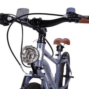 The Adam Speedy Mountain Bike 20"