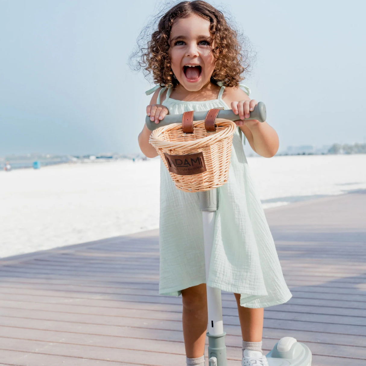 Adam Bike The Super Scooter