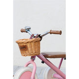 Adam The Tiny Tricycle