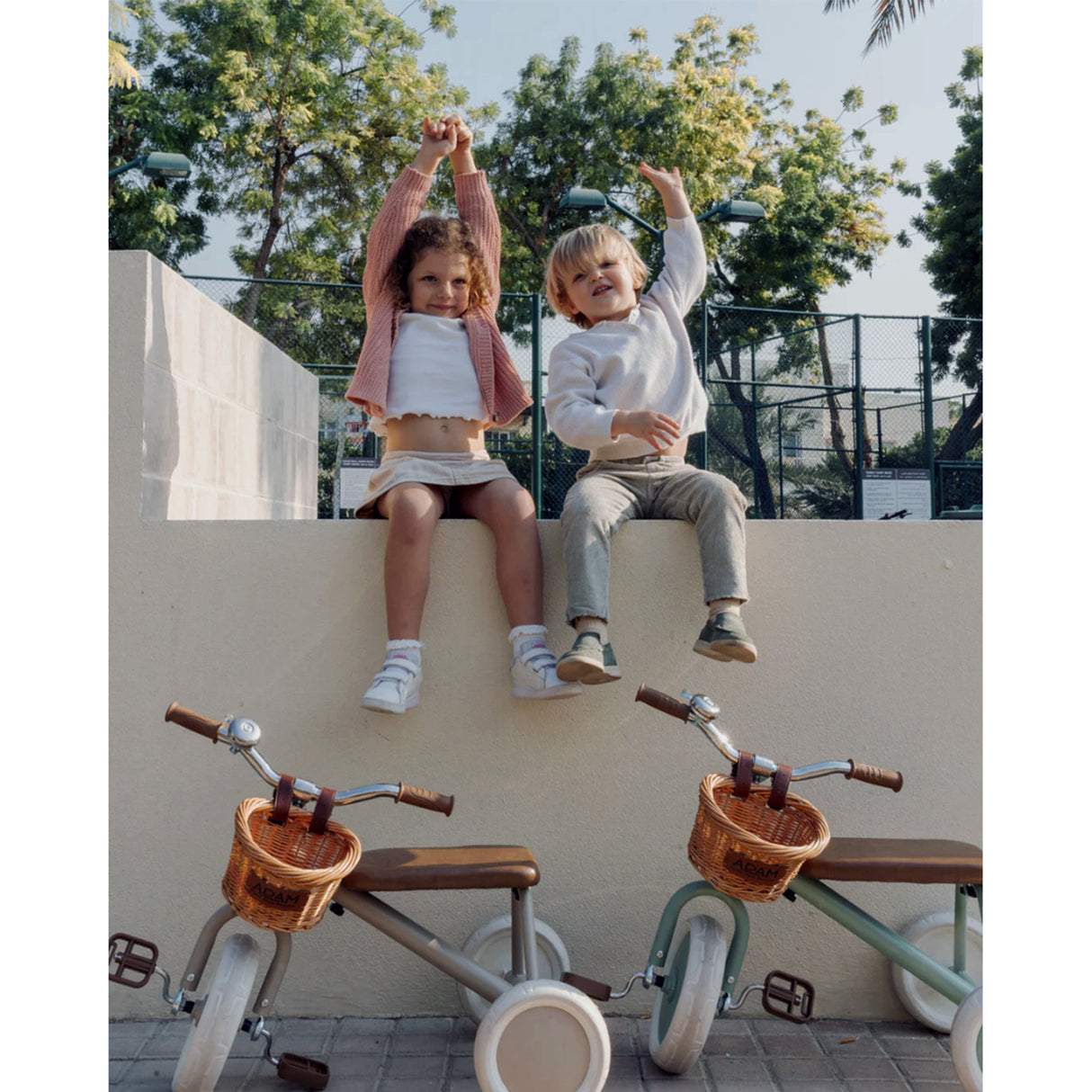 Adam The Tiny Tricycle